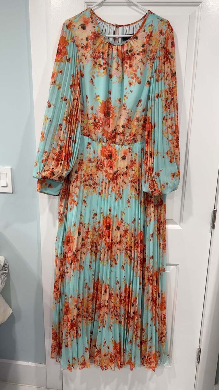 Betsy & Adam Floral Print Pleated Maxi Dress in Mint Multi Size 16